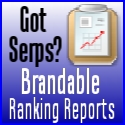 Brandable Ranking Reports